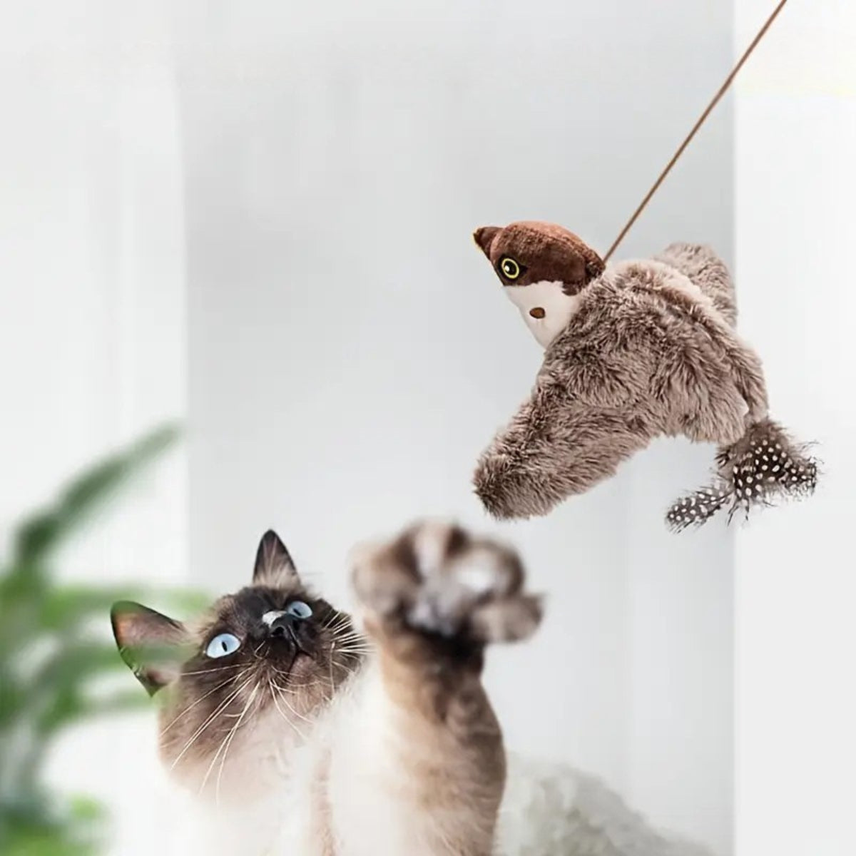 FlappyPals™ | Speel, Fladder, Plezier voor je Poes!