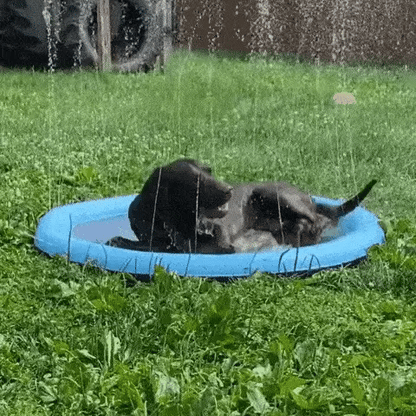 Een Golden Retriever springt vrolijk rond op een blauwe SplashPad™ FonteinMat, omringd door fonkelende waterstralen. De mat biedt verkoeling en plezier, perfect voor warme dagen. inicala.nl