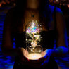 Inicala: Een vrouw houdt een verlichte glazen stolp vast met daarin een sprankelende roos en warme LED-lichtjes. Dit unieke en magische decorstuk straalt elegantie en liefde uit.