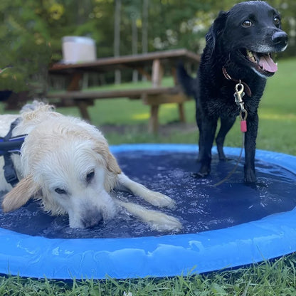 Twee honden spelen en ontspannen in een blauwe SplashPad™ FonteinMat in een groene tuin. De ene hond ligt in het water, terwijl de andere alert staat, genietend van verkoeling en zomers plezier. Perfect voor warme dagen! inicala.nl